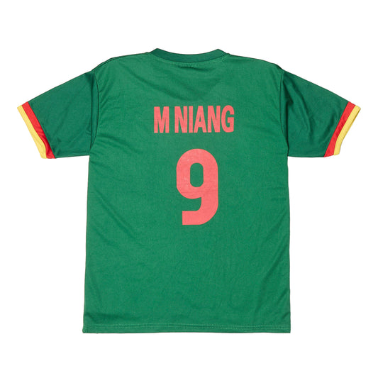 Senegal National Replica Football Shirt - L